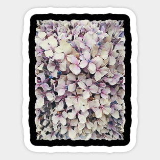 Hydrangea/Hortensia Graphic Design Floral Pattern Sticker